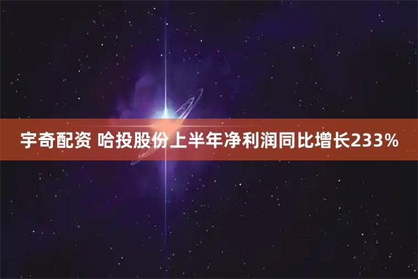 宇奇配资 哈投股份上半年净利润同比增长233%